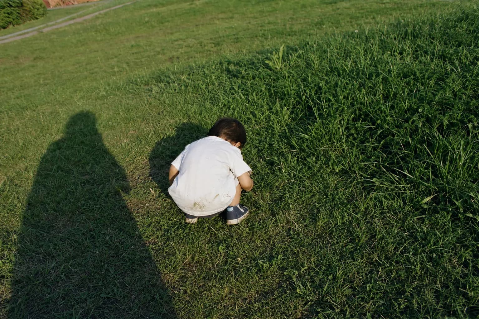 A toddler seen from behind, crouching in long grass and looking at something on the ground