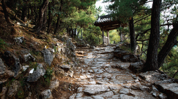 Four Pillars of Destiny chart related to Wood and Fire compatibility in Korean Saju: love, friendship, and relationship dynamics