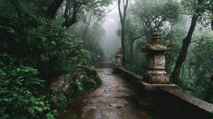 Korean fortune telling concept - Saju Compatibility: Which Elements Make the Best Romantic Partners